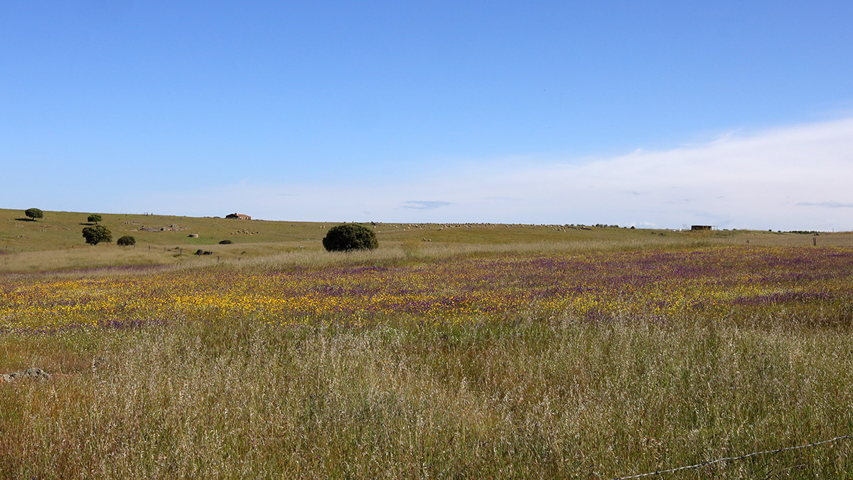 Extremadura